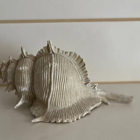 Apartment Exklusive Strandnahe *