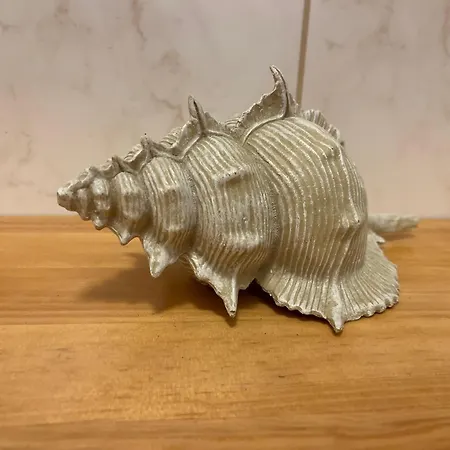 Gemuetliche Strandnahe Appartement Heringsdorf (Usedom)